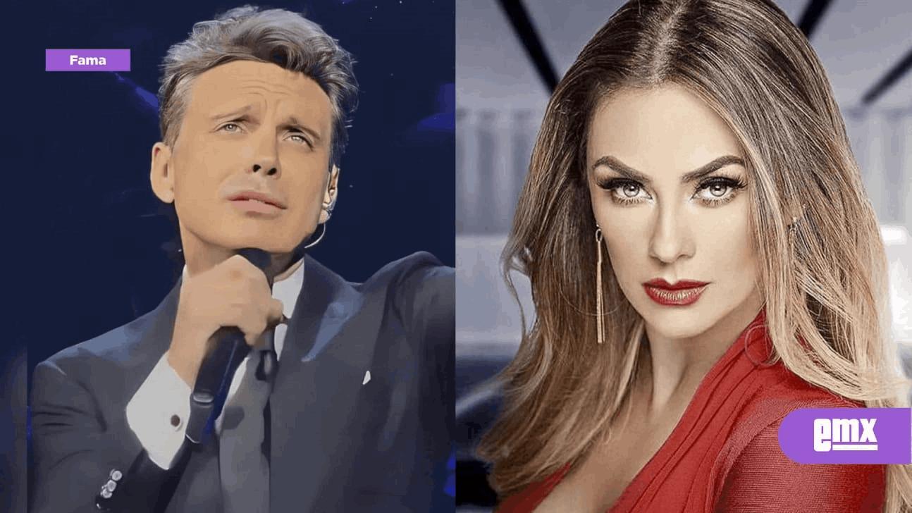 ARACELI ARÁMBULA SE QUEDA SIN DEFENSA LEGAL EN CASO LUIS... - El Mexicano