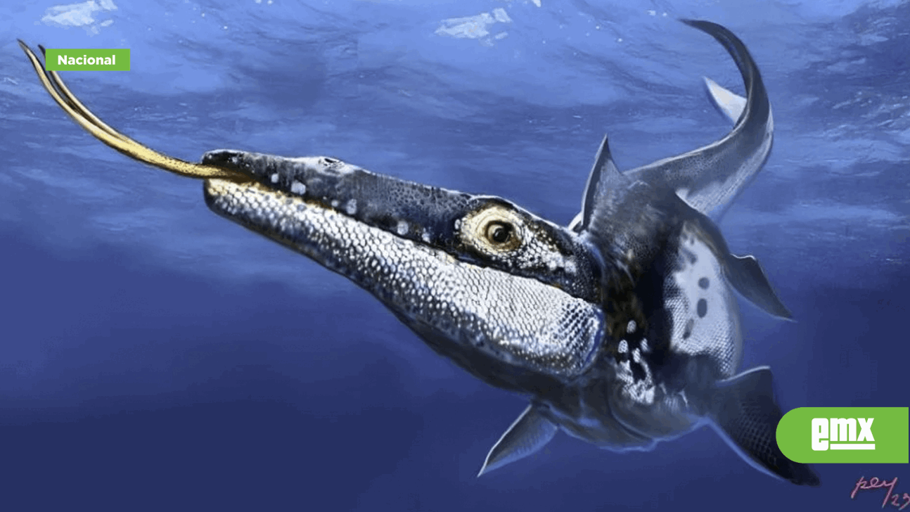 EMX-Hallan nuevo fósil de mosasaurio en Nuevo León; lo donan a museo de Saltillo