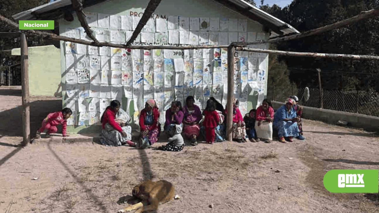 EMX-Persiste desplazamiento forzado y violencia en Sierra Tarahumara