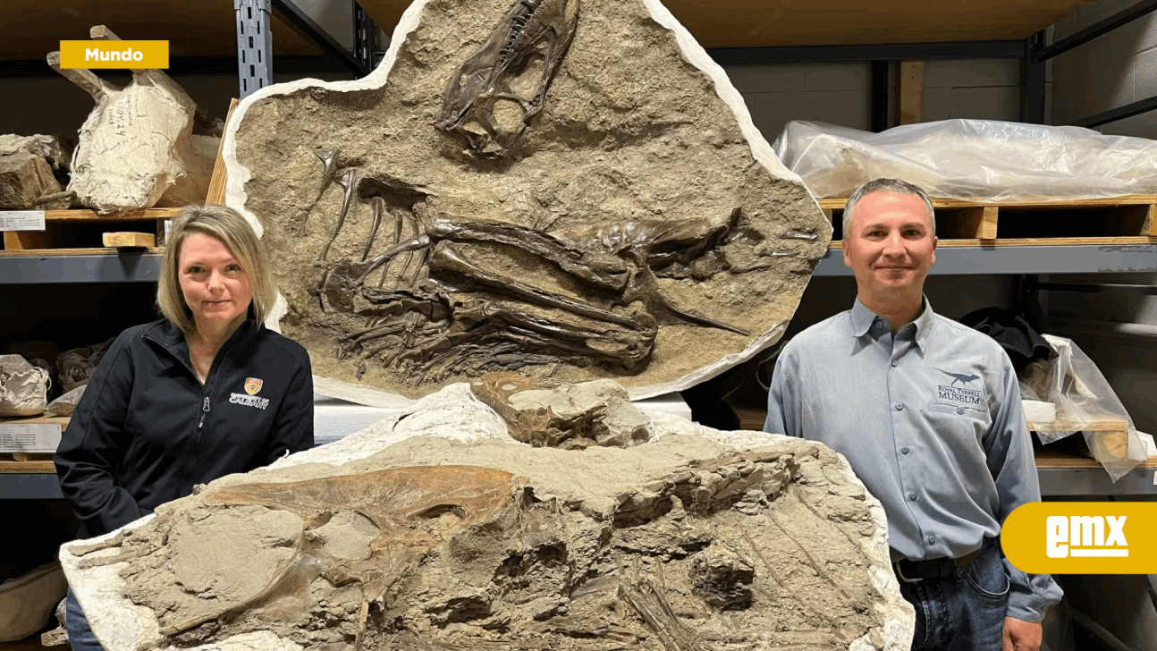 EMX-Descubierto el fósil de un joven tiranosaurio que conserva los restos de su última comida