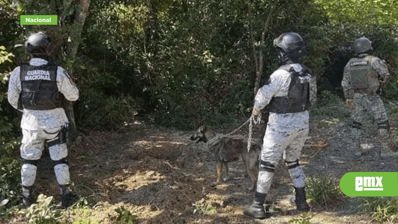 EMX-Localizan fosa clandestina en Tihuatlán tras denuncia anónima