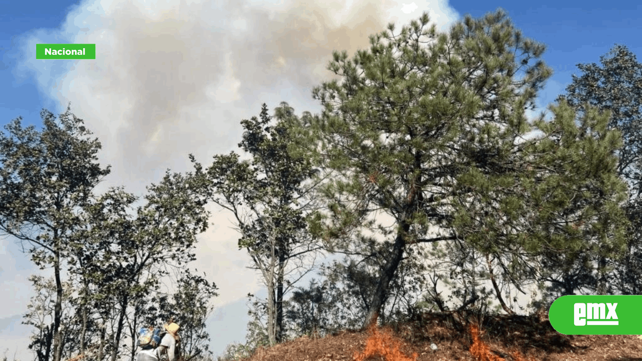 EMX-Se registra incendio forestal en zona de Oaxaca 