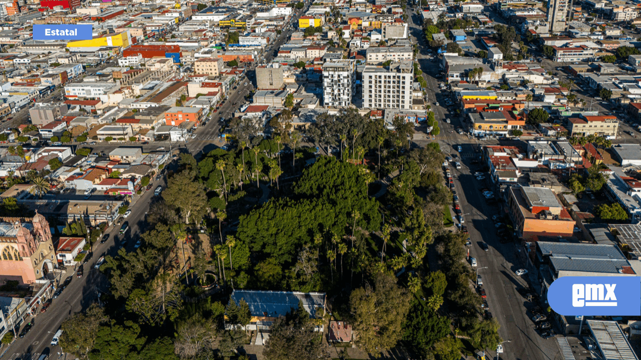 EMX-Tijuana debería tener 10 veces más áreas verdes