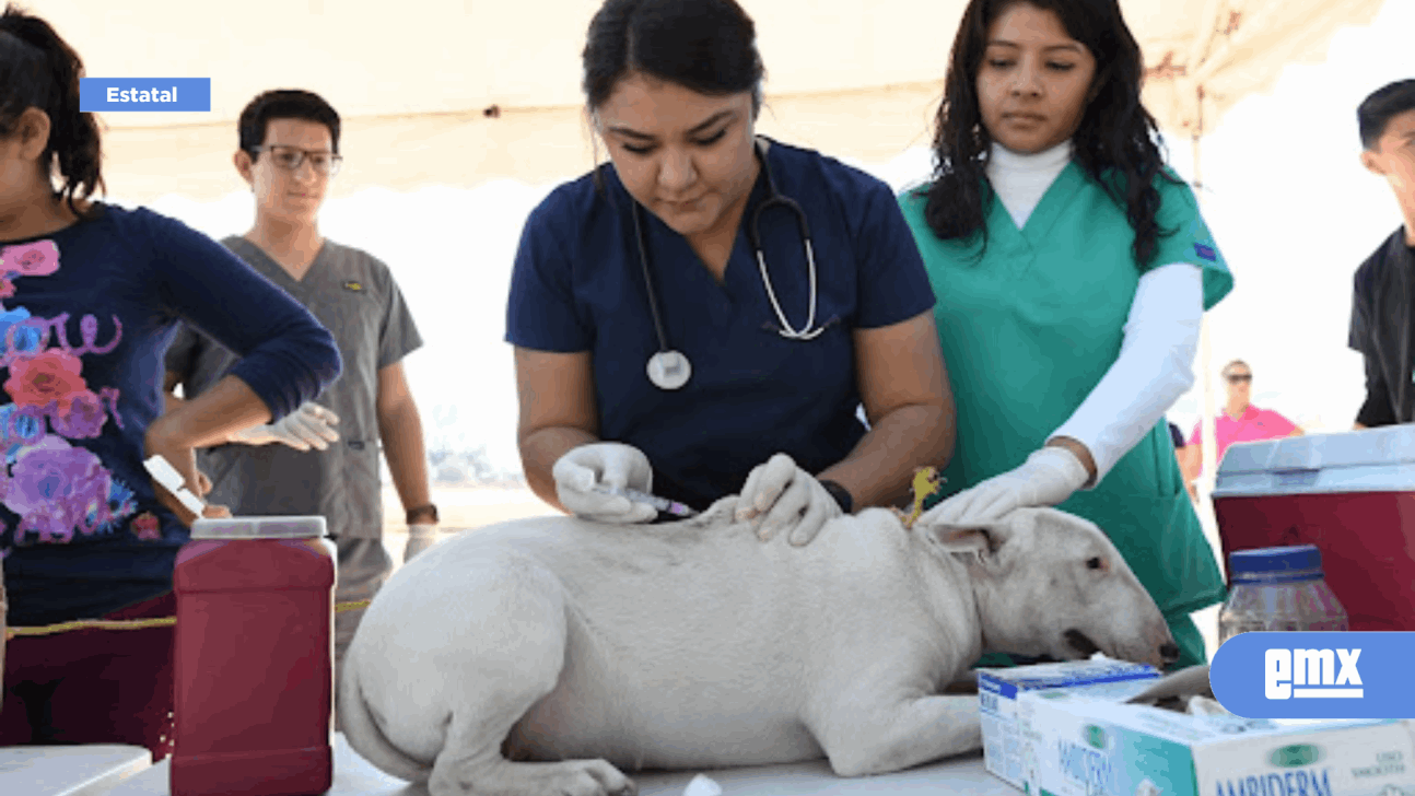 EMX-UABC PODRÍA OFERTAR CARRERA DE VETERINARIA TAMBIÉN EN CAMPUS DE TIJUANA