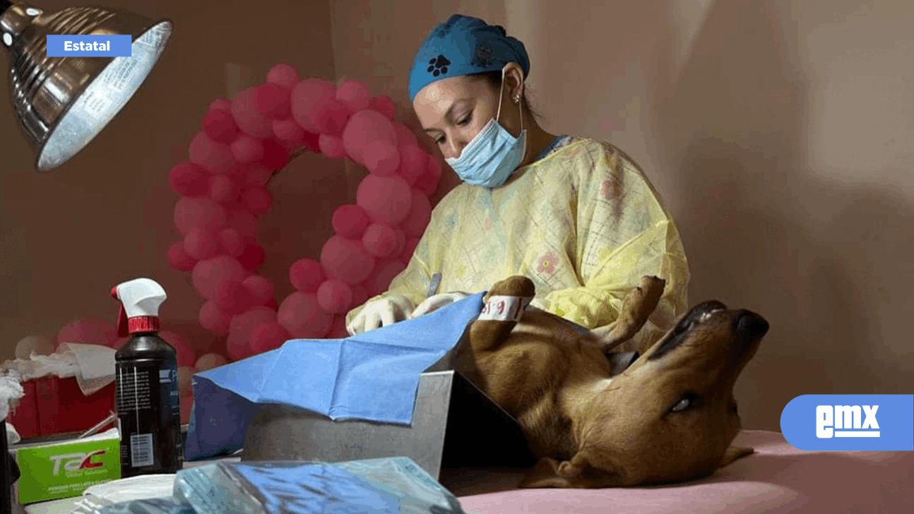 EMX-HABRÁ COORDINACIÓN ENTRE EL CEMCA Y EL SANTUARIO ANIMAL MILY