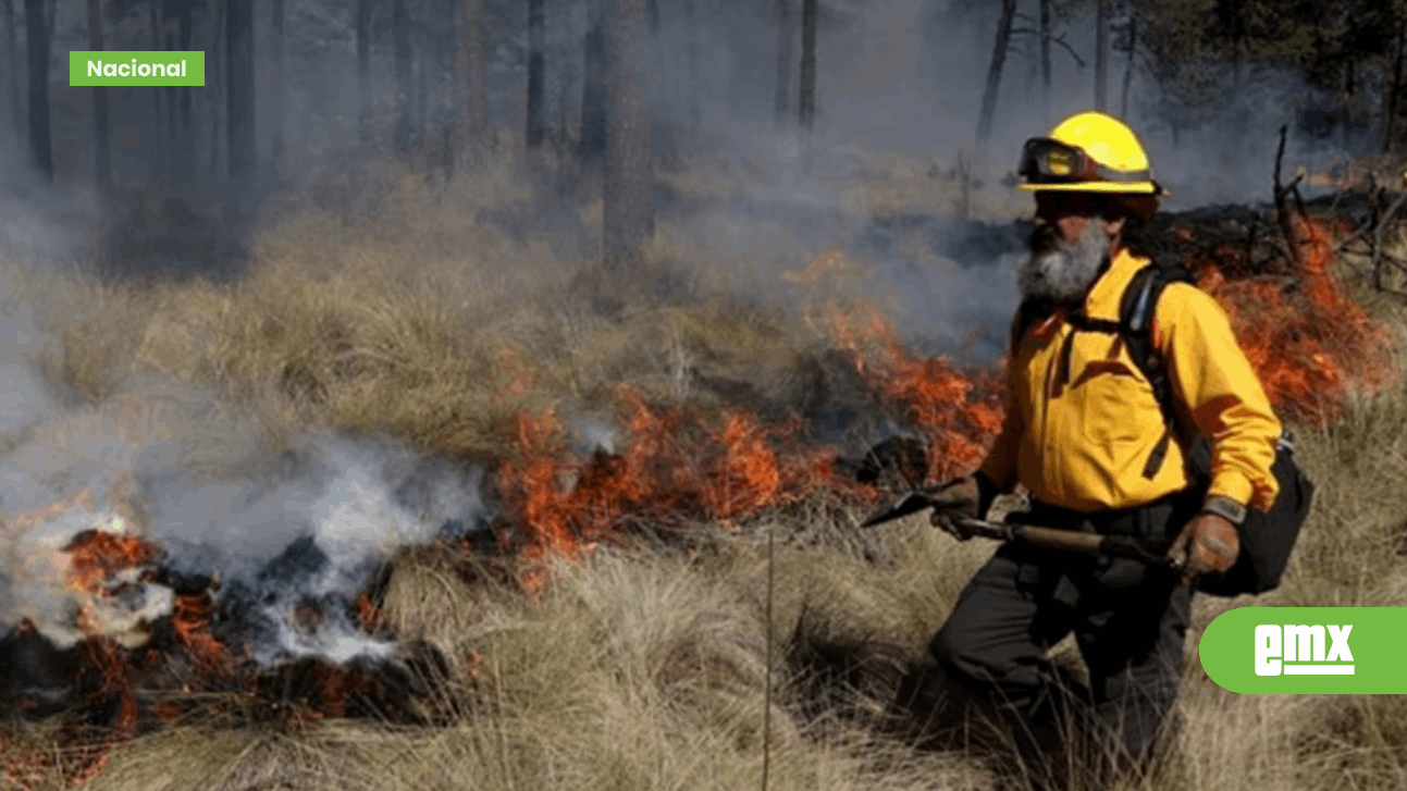 Continúan 113 Incendios Forestales Activos En 20 Estados El Mexicano 1989