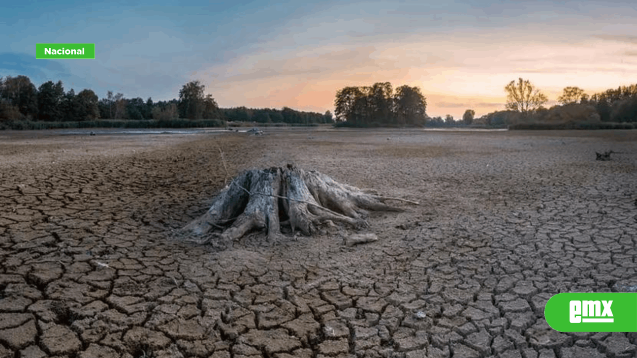 EMX-Sequía-se-extiende-a-casi-80%-del-país;-hay-10-estados-con-100%-de-municipios-afectados