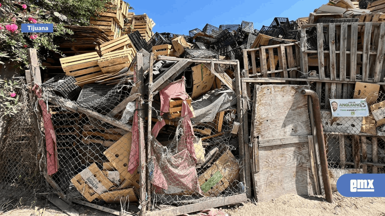 EMX-Denuncian predio lleno de cajas de madera y plástico en El Florido