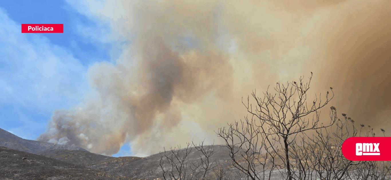 EMX-Alerta tras incendios forestales en la Ruta del Vino