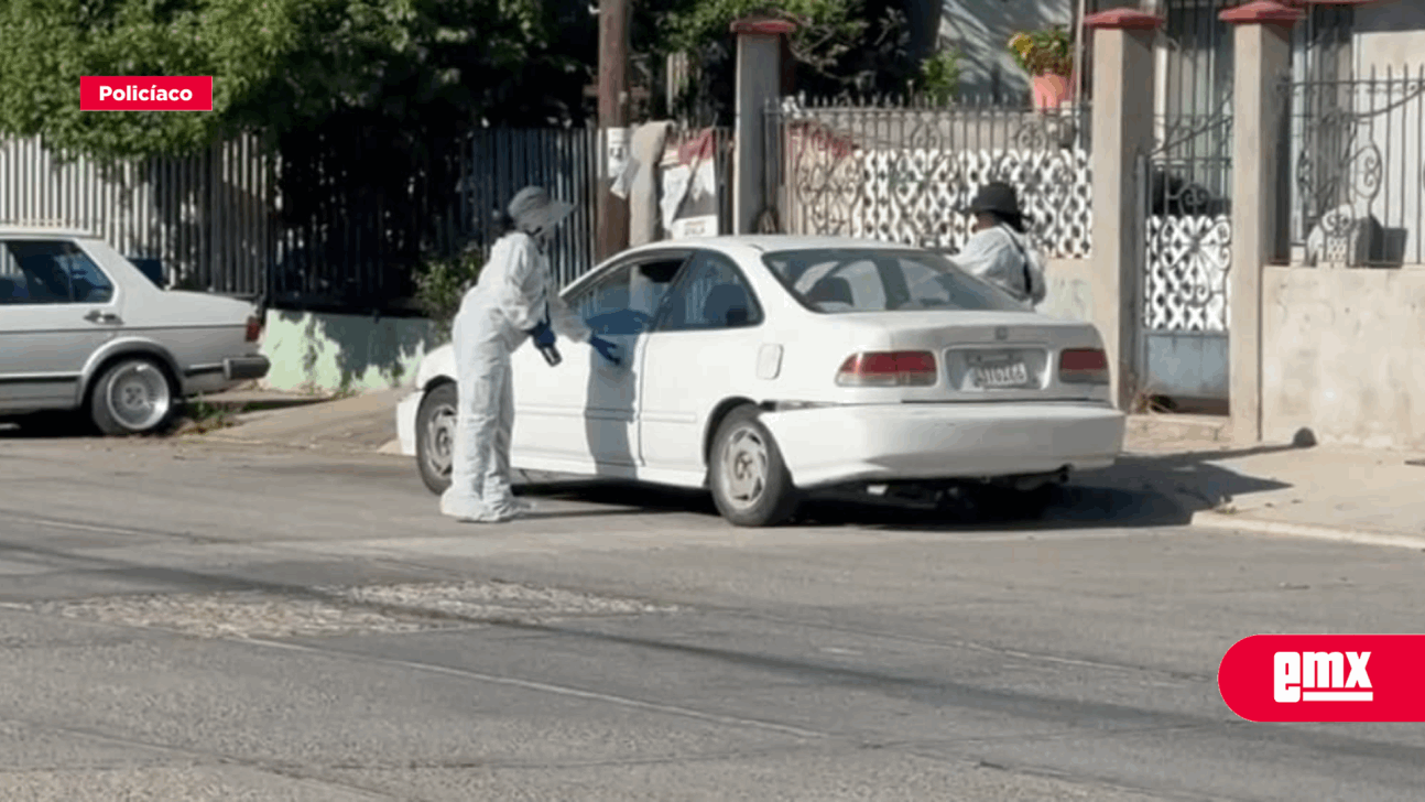 EMX-Abandonan cuerpo en pedazos dentro de un auto en la Alemán