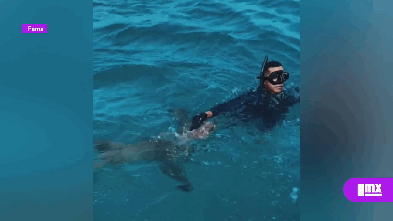 EMX-Daddy-Yankee-nada-con-tiburones-en-Puerto-Rico-para-campaña-de-turismo