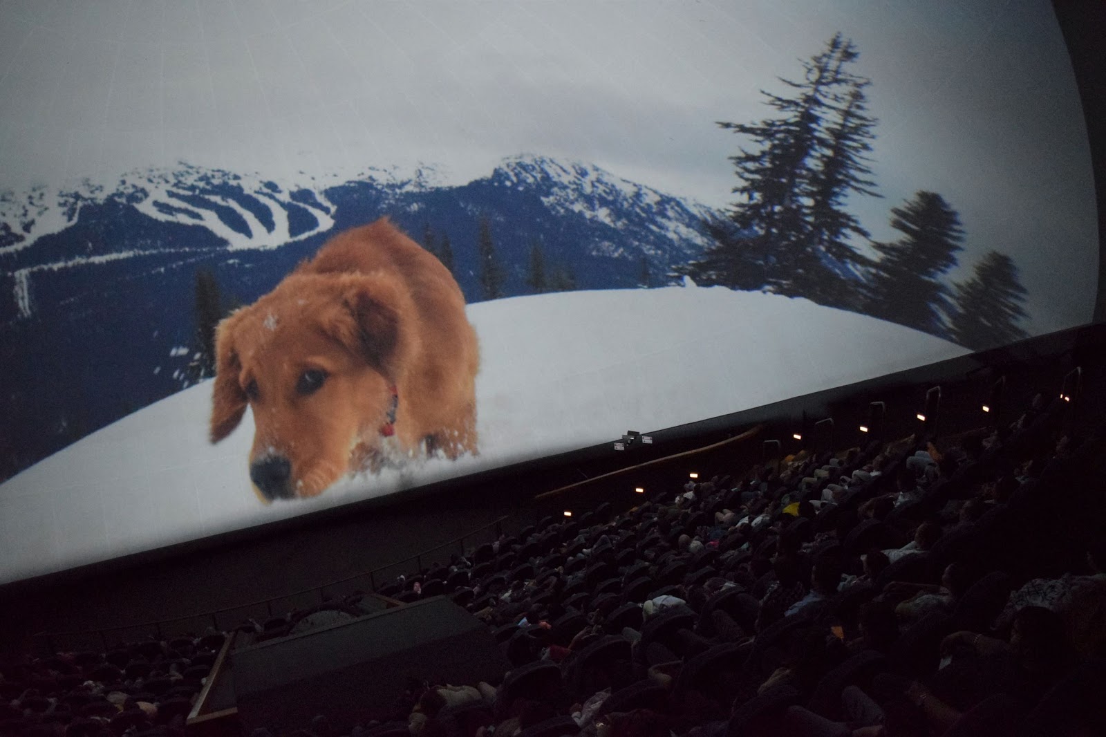 EMX-Reabrirá el Domo IMAX del Cecut el jueves 29 de abril