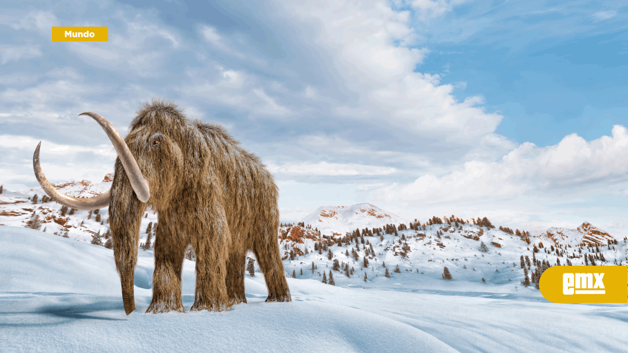 EMX-Científicos están a punto de revivir a los mamuts como en 'Jurassic Park': hallan la última pieza de su ADN