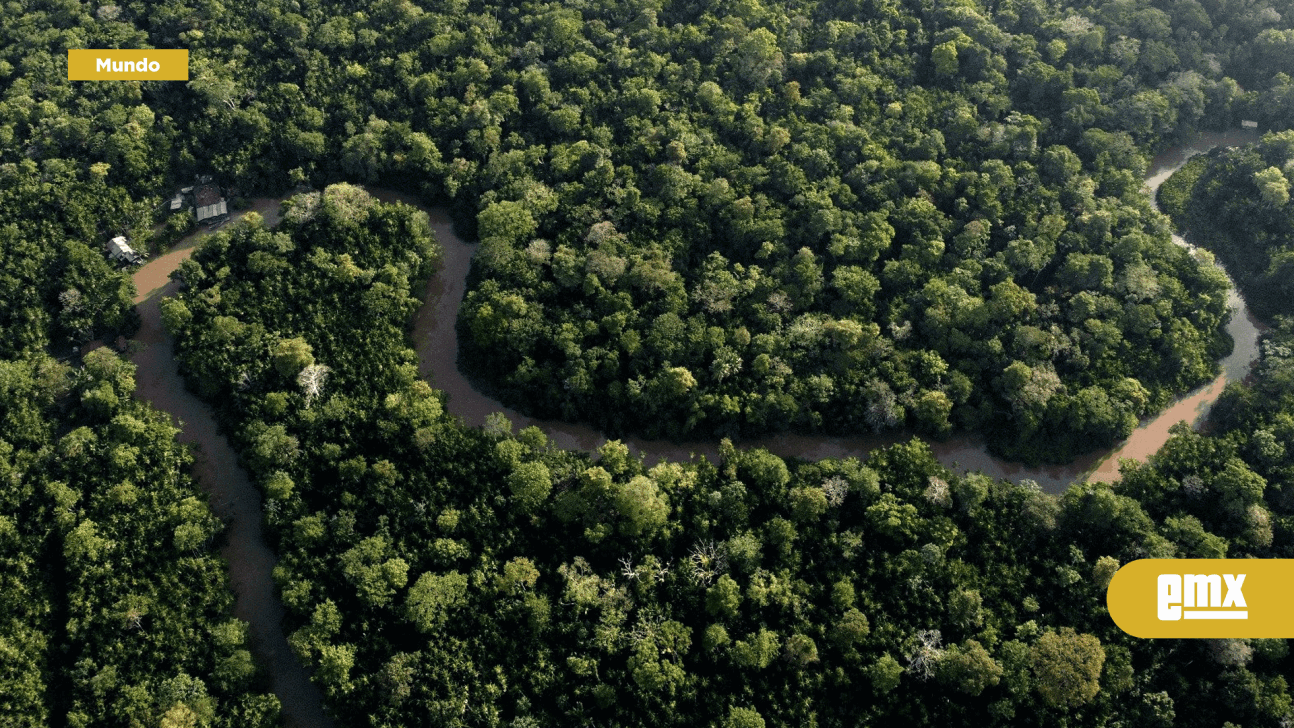 EMX-La Amazonía vuelve a estar en una situación de sequía grave, y antes de lo esperado