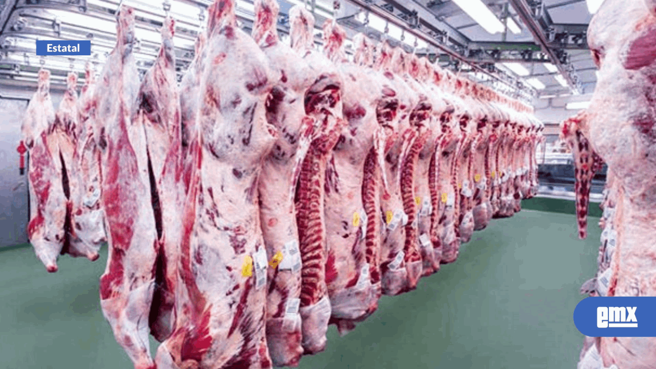 EMX-Carne, principal producto pecuario de BC en 2023: SADERBC
