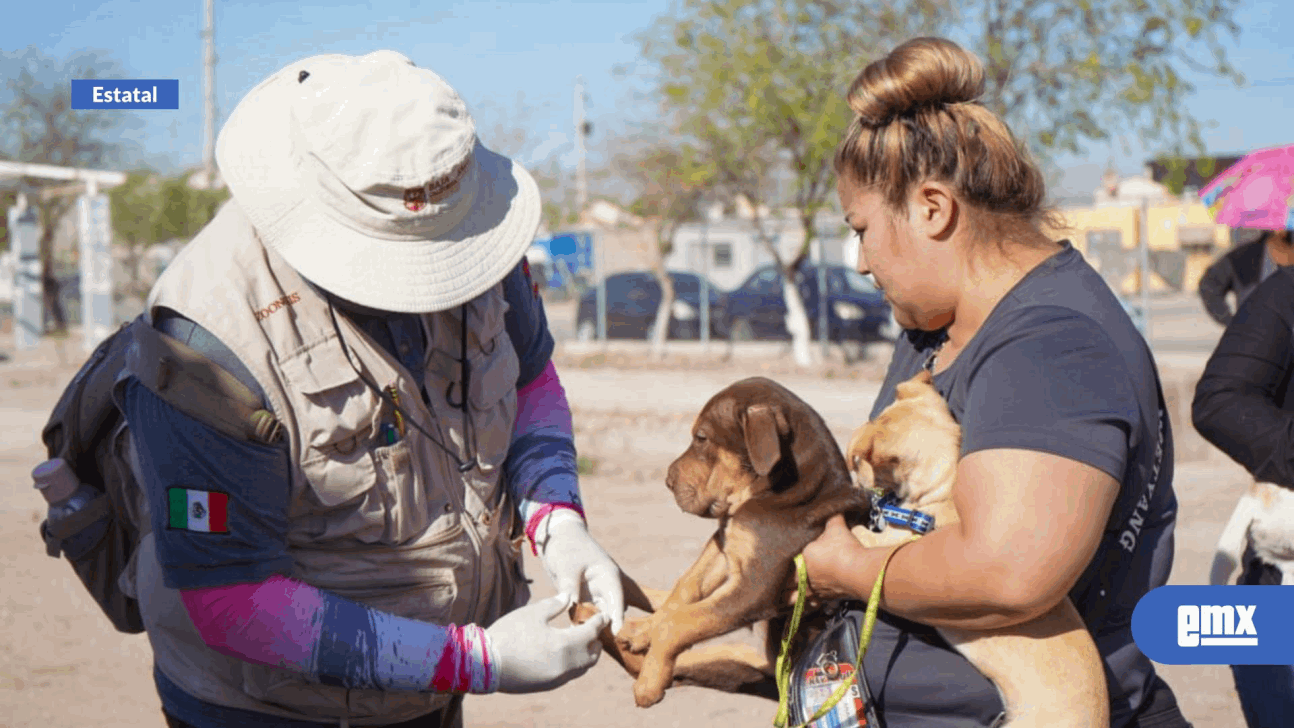 EMX-Médicos Zootecnistas han beneficiado a la población de Baja California