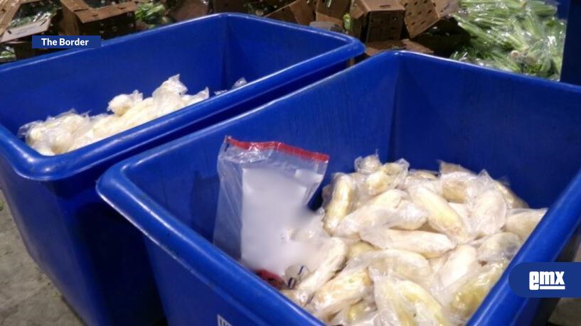 EMX-Frutas y verduras: el nuevo ‘modus operandi’ del tráfico de drogas