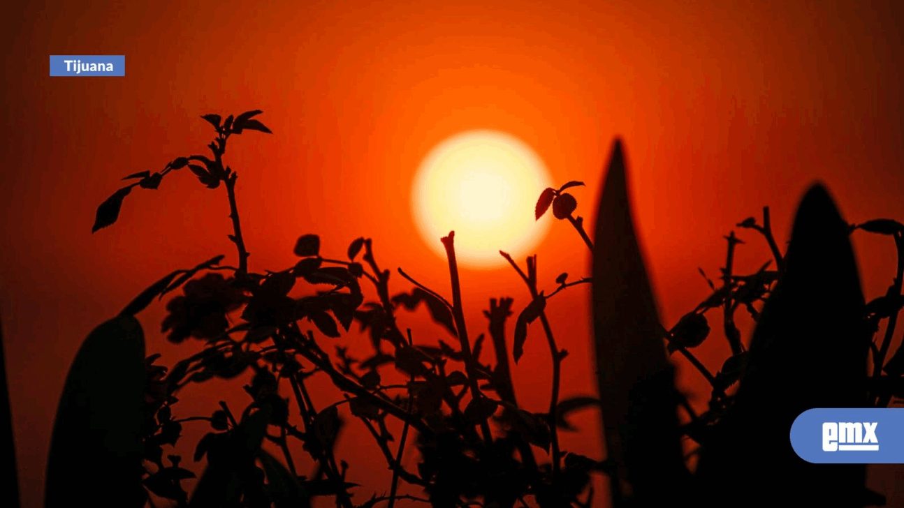 EMX-Clima en Tijuana