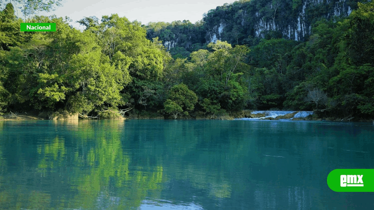 EMX-Mayas denuncian infiltración del narcotráfico en la Selva Lacandona