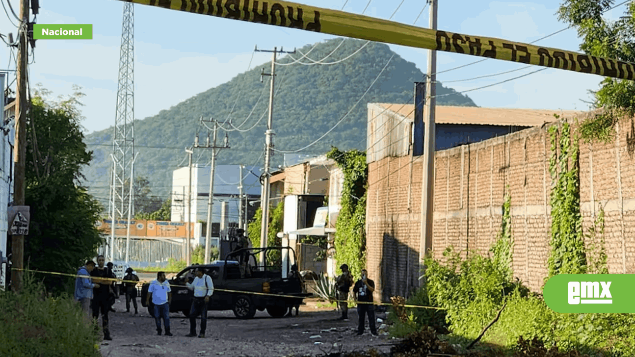 EMX-Detienen a 40 civiles y aseguran 120 armas y 75 vehículos en 12 días de enfrentamientos en Sinaloa