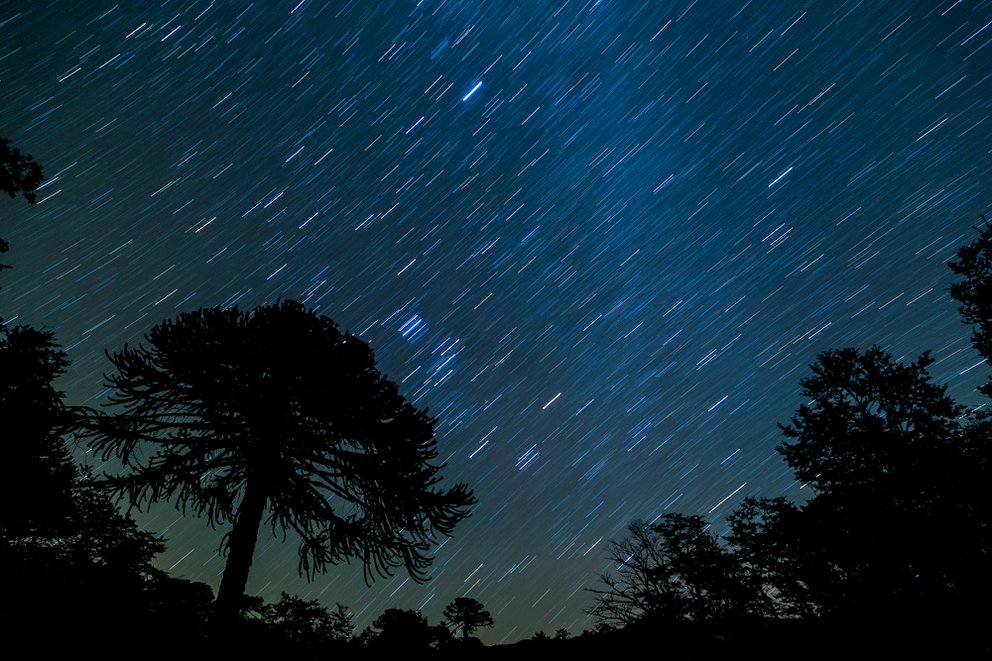 Cómo ver los restos del cometa Halley desde México - El ...