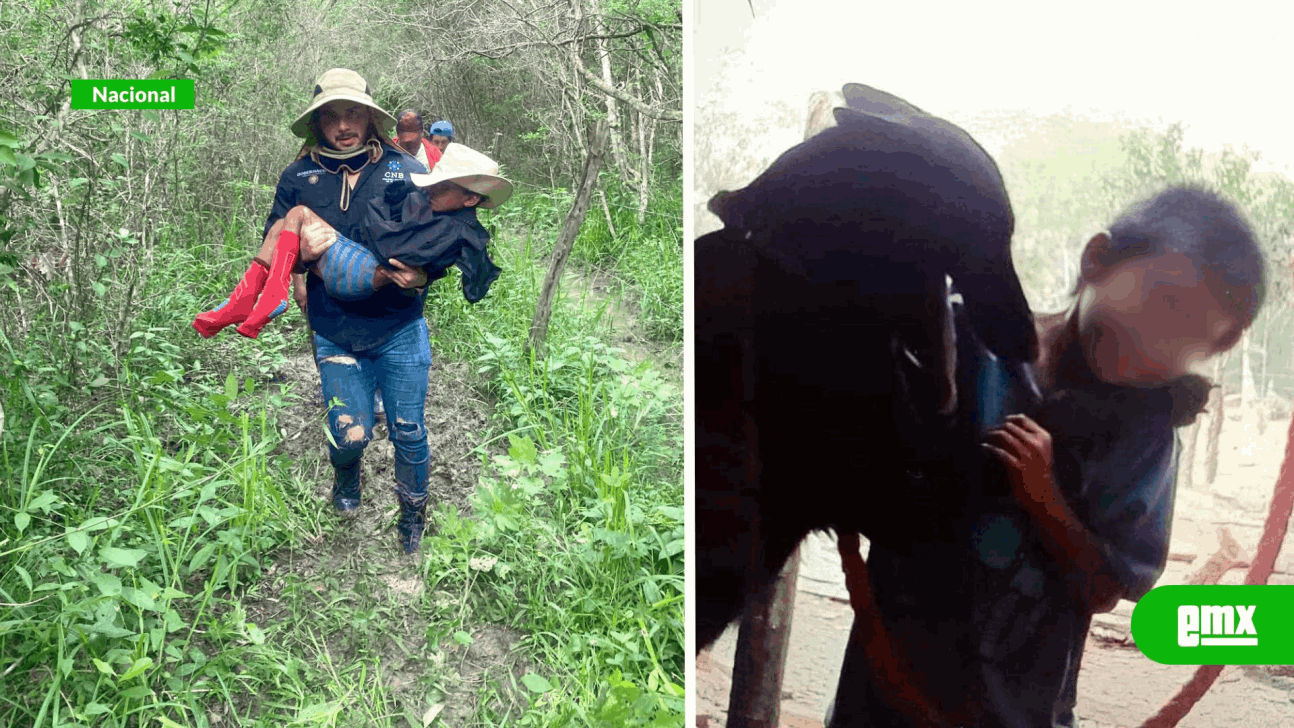 EMX-Niño de 9 años se perdió en la selva de Campeche por seis días, dos perros lo cuidaron 