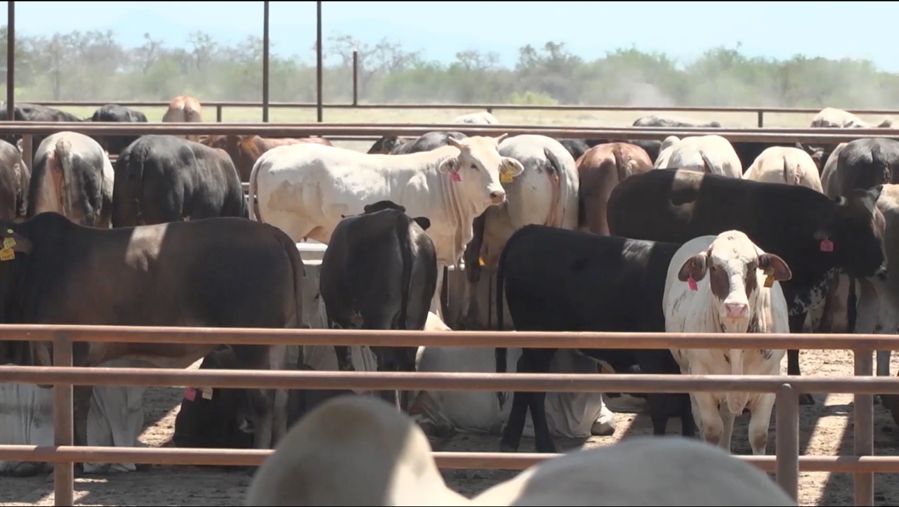 EMX-Prevén 290 millones toneladas en agricultura, ganadería y pesca 