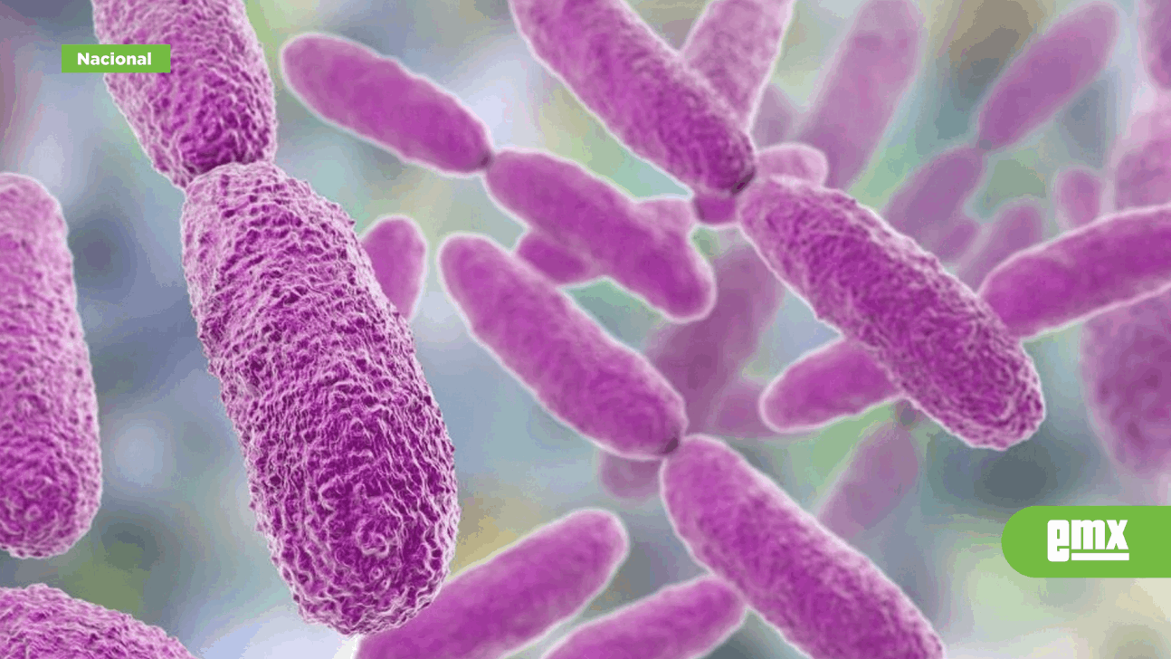 EMX-México-emite-alerta-por-brote-de-Klebsiella-oxytoca:-¿Qué-es?