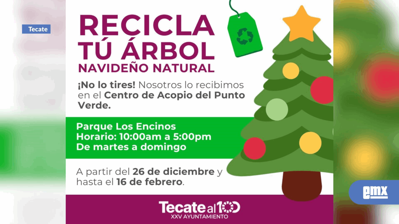 EMX-GOBIERNO-DE-TECATE-INICIA-PROGRAMA-DE-RECICLAJE-DE-ÁRBOLES-NAVIDEÑOS