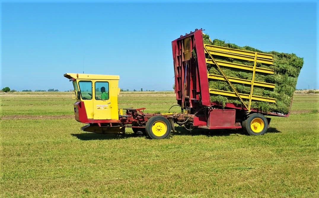 EMX-Crece producción de alfalfa en Valle de Mexicali