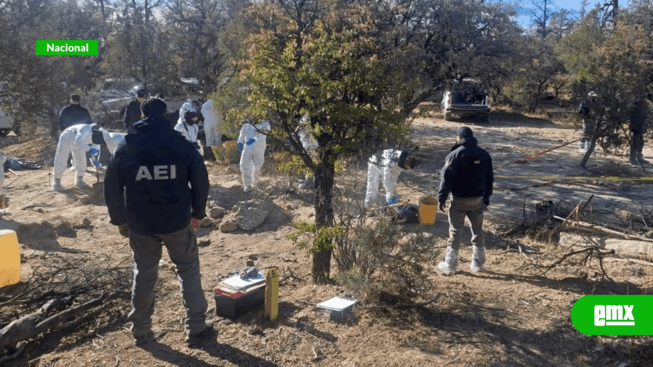 EMX-Hallan-56-cadáveres-en-fosas-clandestinas-de-Casas-Grandes,-Chihuahua