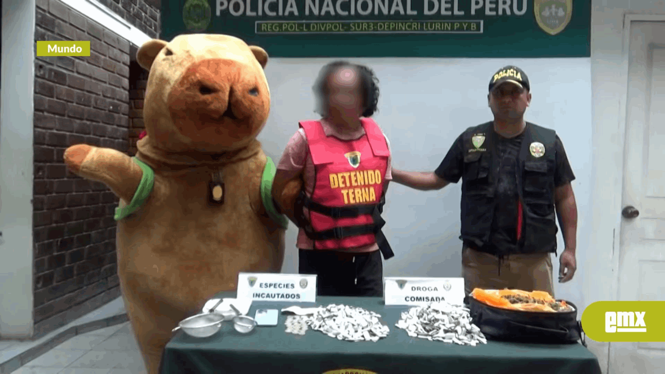 EMX-La policía peruana realiza un operativo antidrogas con un disfraz de capibara