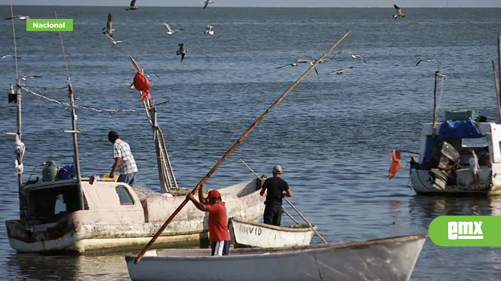 EMX-Ataca-tiburón-a-pescador-en-Quintana-Roo;-escualo-le-mordió-una-pierna