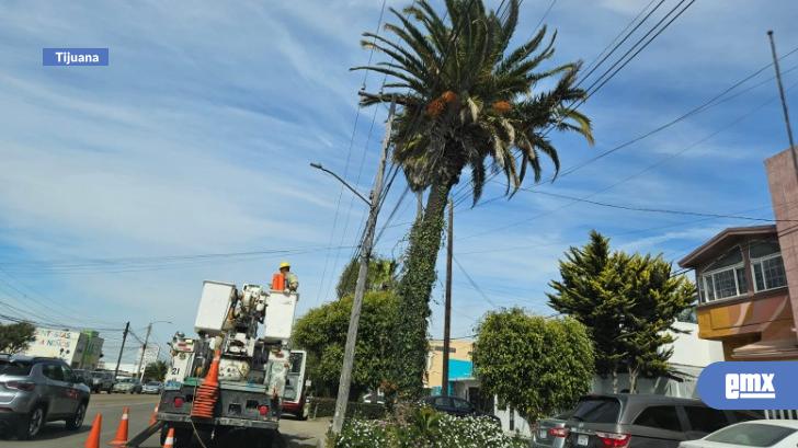 EMX-Más-de-mil-usuarios-sin-luz-por-Vientos-Santa-Ana