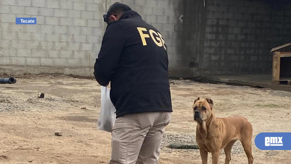 EMX-Rescatan a un canino víctima de maltrato animal, durante un cateo