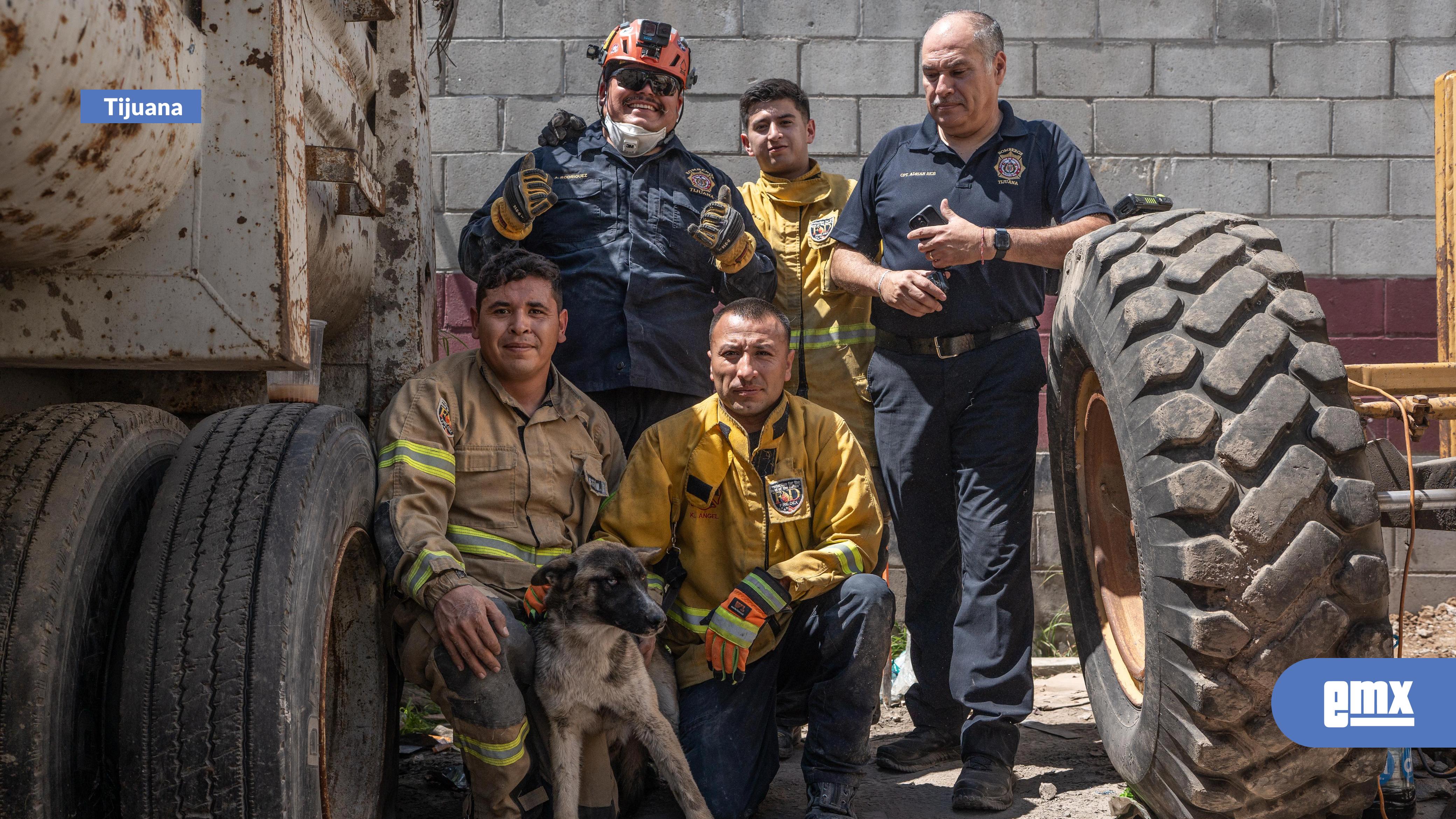 EMX-Bomberos rescatan a perrito atrapado entre dos paredes en la colonia La Gloria