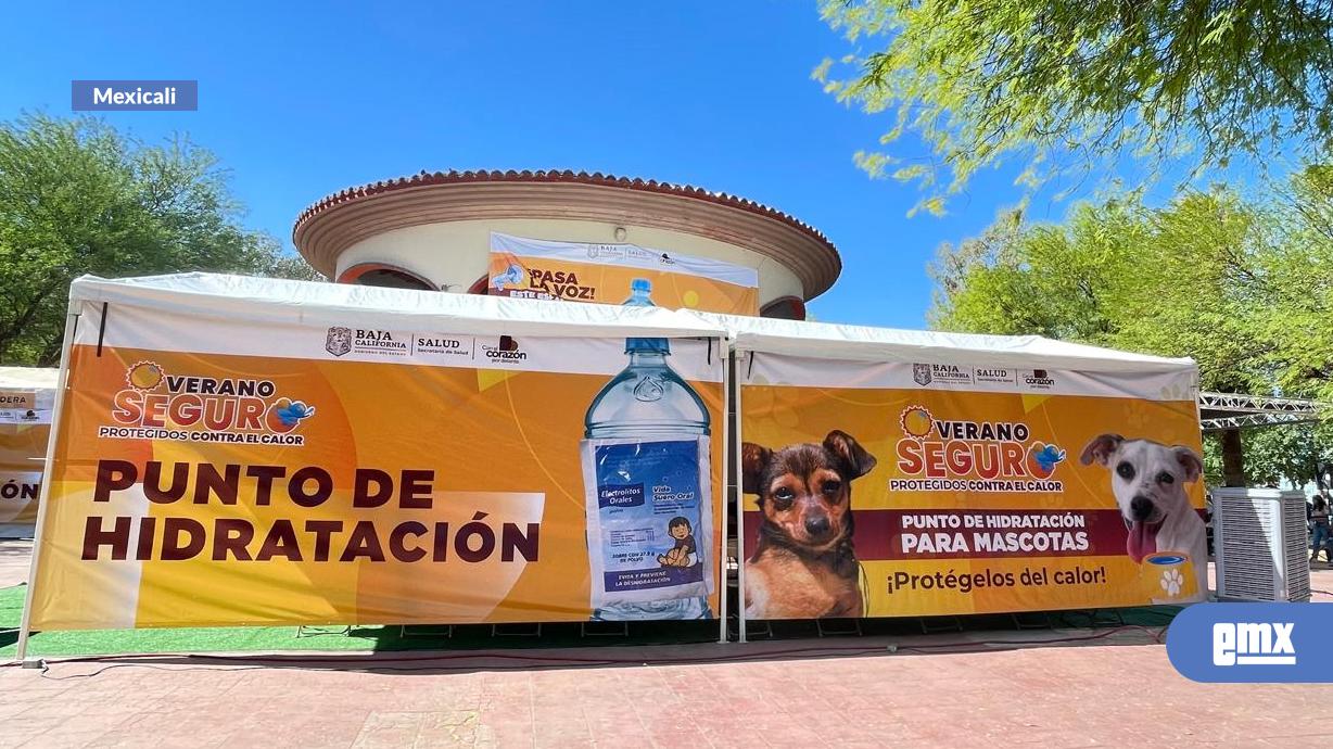 EMX-ADELANTAN-PROGRAMA-VERANO-SEGURO-EN-MEXICALI