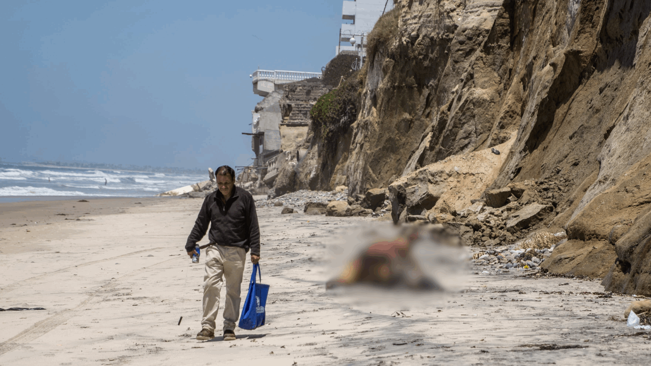 EMX-Vecinos-de-Playas-piden-que-entierren-los-cuerpos-de-un-lobo-marino-y-su-cría