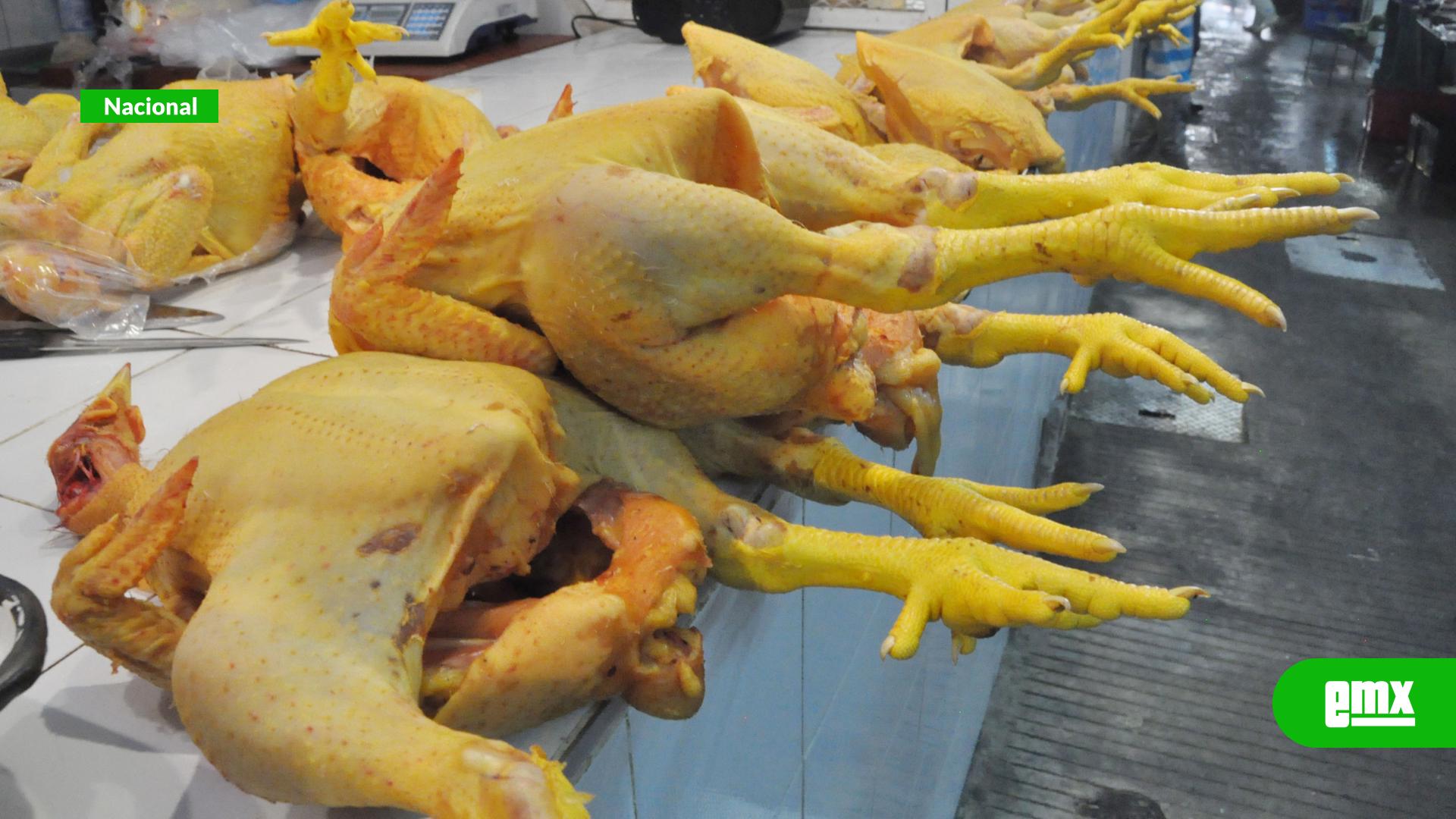 EMX-México-suspende-importación-de-productos-avícolas-desde-Brasil-por-brote-de-influenza-aviar