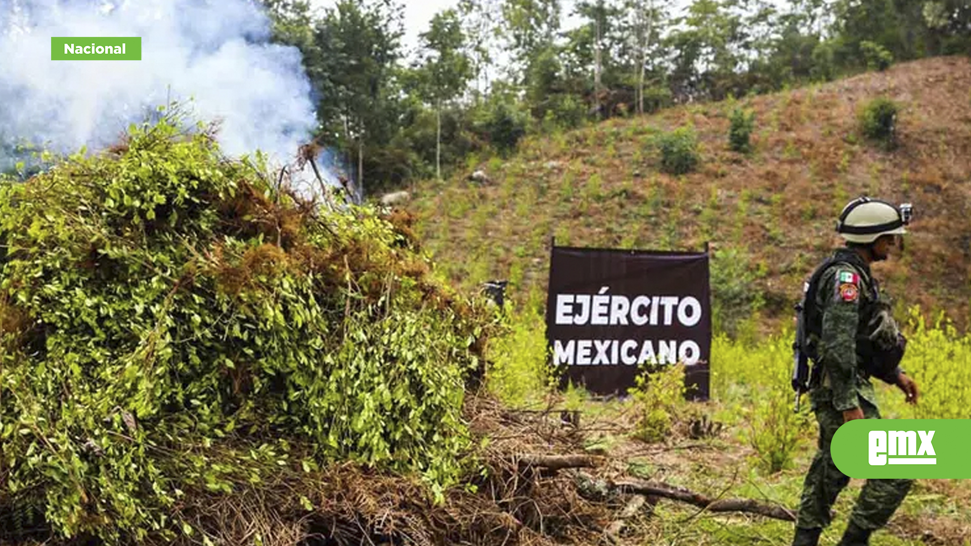 EMX-Ejército-erradicó-171-plantíos-de-mariguana-y-amapola-en-5-estados