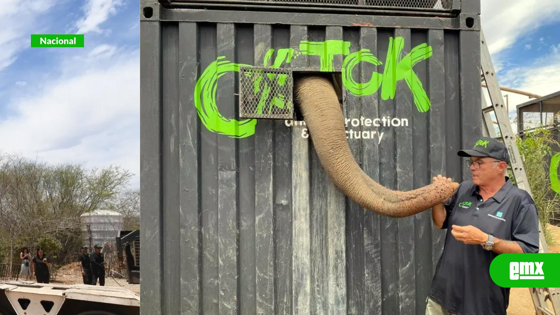 EMX-Violencia-obliga-a-evacuar-zoológico-en-Culiacán:-700-animales-son-trasladados-a-Mazatlán