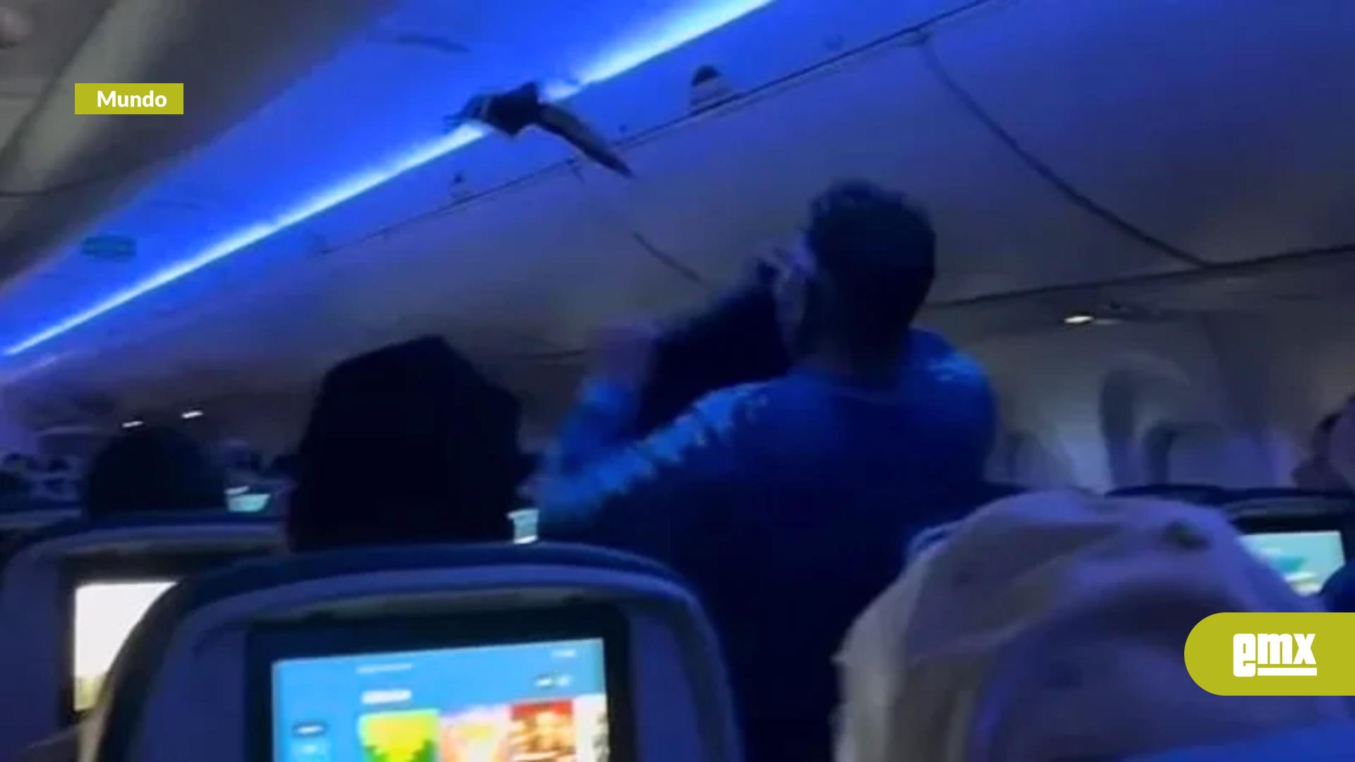 EMX-¡Alarma-en-el-aire!-Palomas-provocan-aterrizaje-de-emergencia-en-vuelo-de-Delta