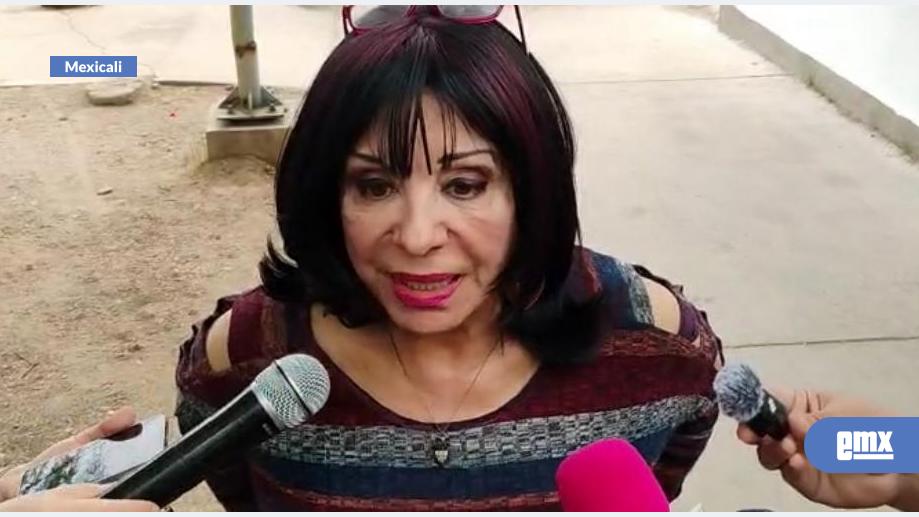 EMX-Alcaldesa-emitió-votó-con-acrodeon-en-su-celular
