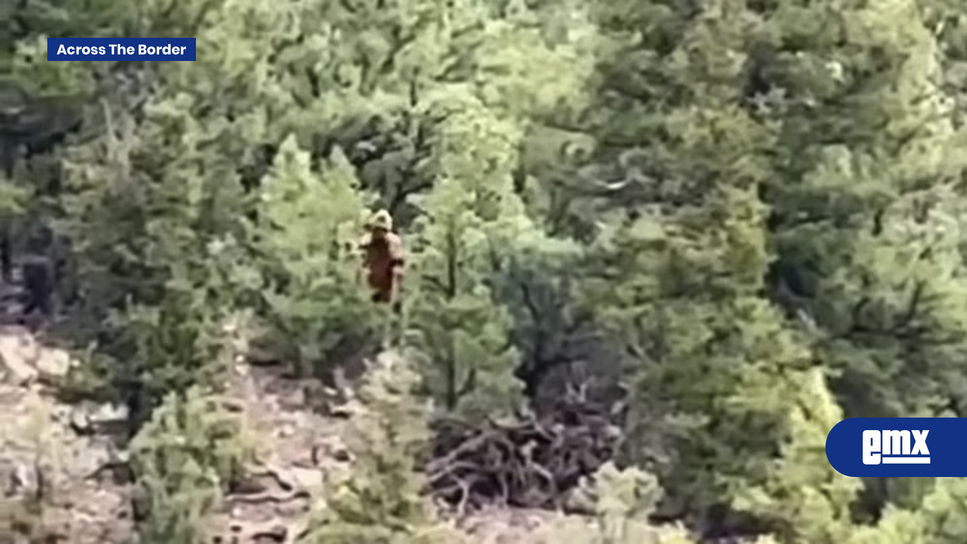 EMX-Un-video-viral-muestra-una-criatura-similar-al-mítico-Pie-Grande-acechando-en-un-bosque-en-Colorado