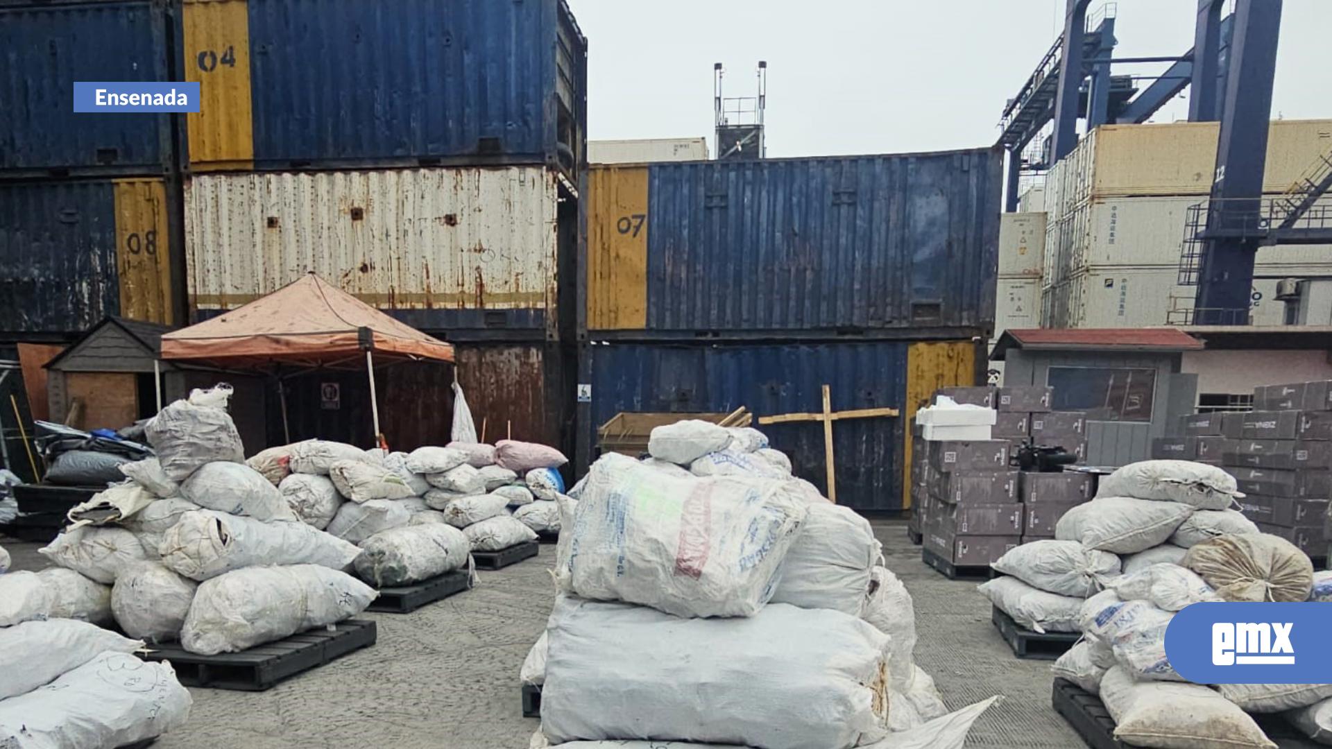 EMX-Retienen mas de 2 mil kg de aleta de tiburón en el recinto portuario
