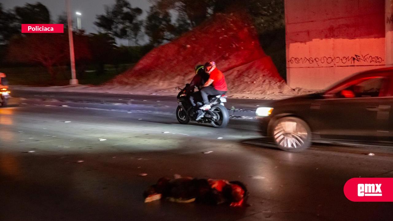 EMX-Muere atropellado hombre en situación de calle en la Vía Rápida Poniente