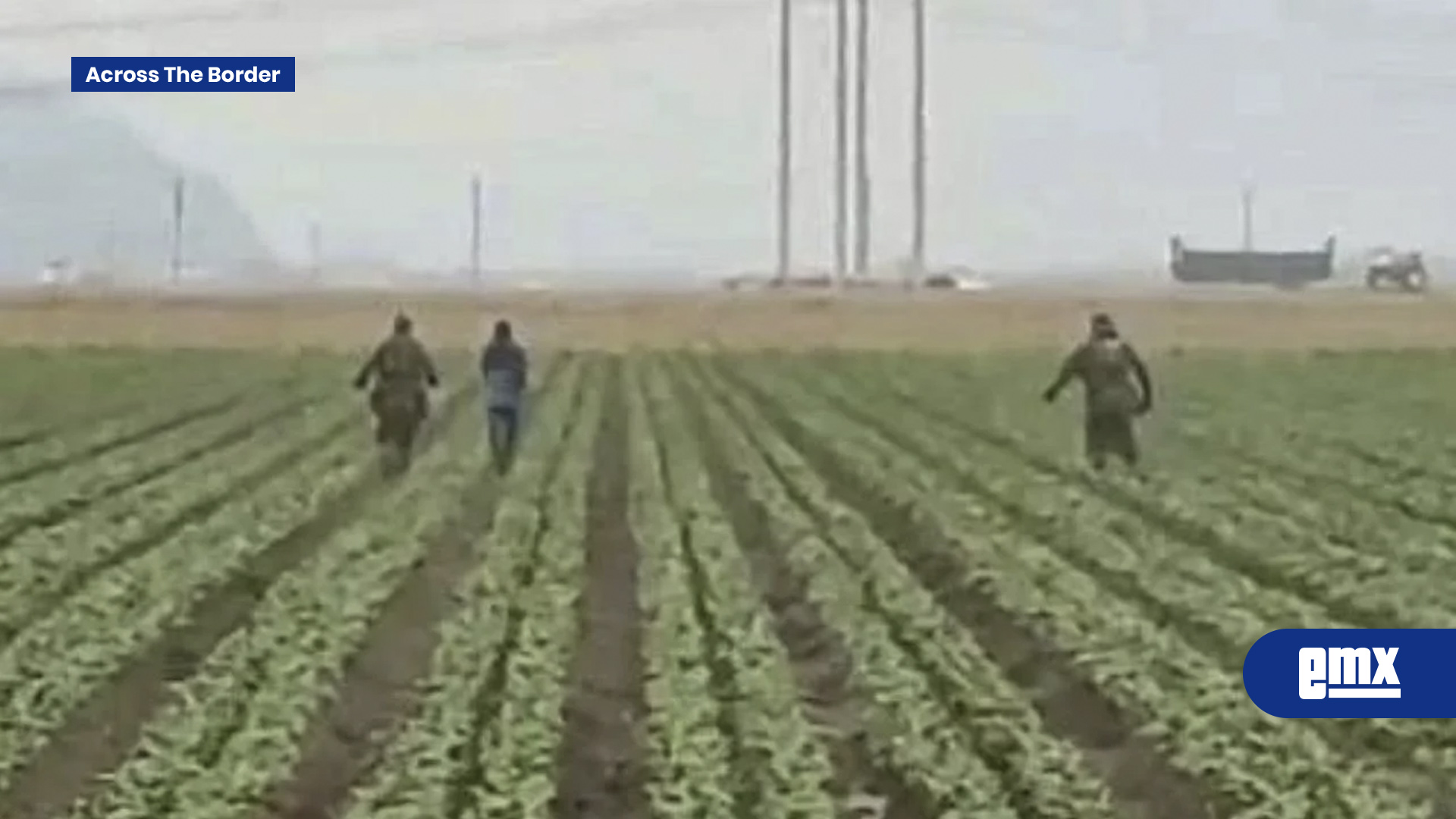 EMX-Redadas-del-ICE-llegan-a-campos-agrícolas-de-California-(Video)