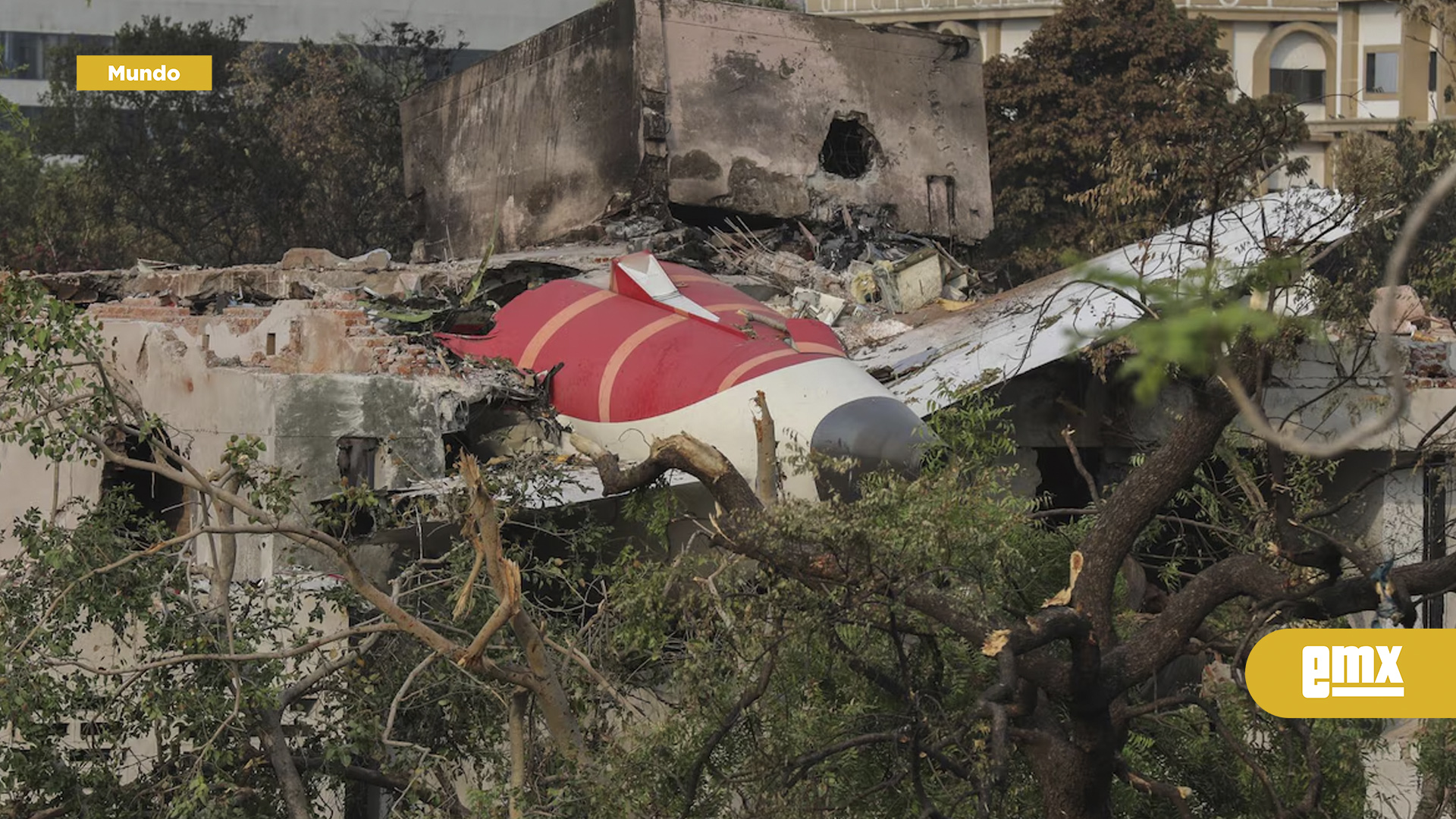 EMX-Dan-de-alta-a-sobreviviente-al-‘avionazo’-del-Air-India:-Lamenta-que-su-hermano-murió-en-el-accidente
