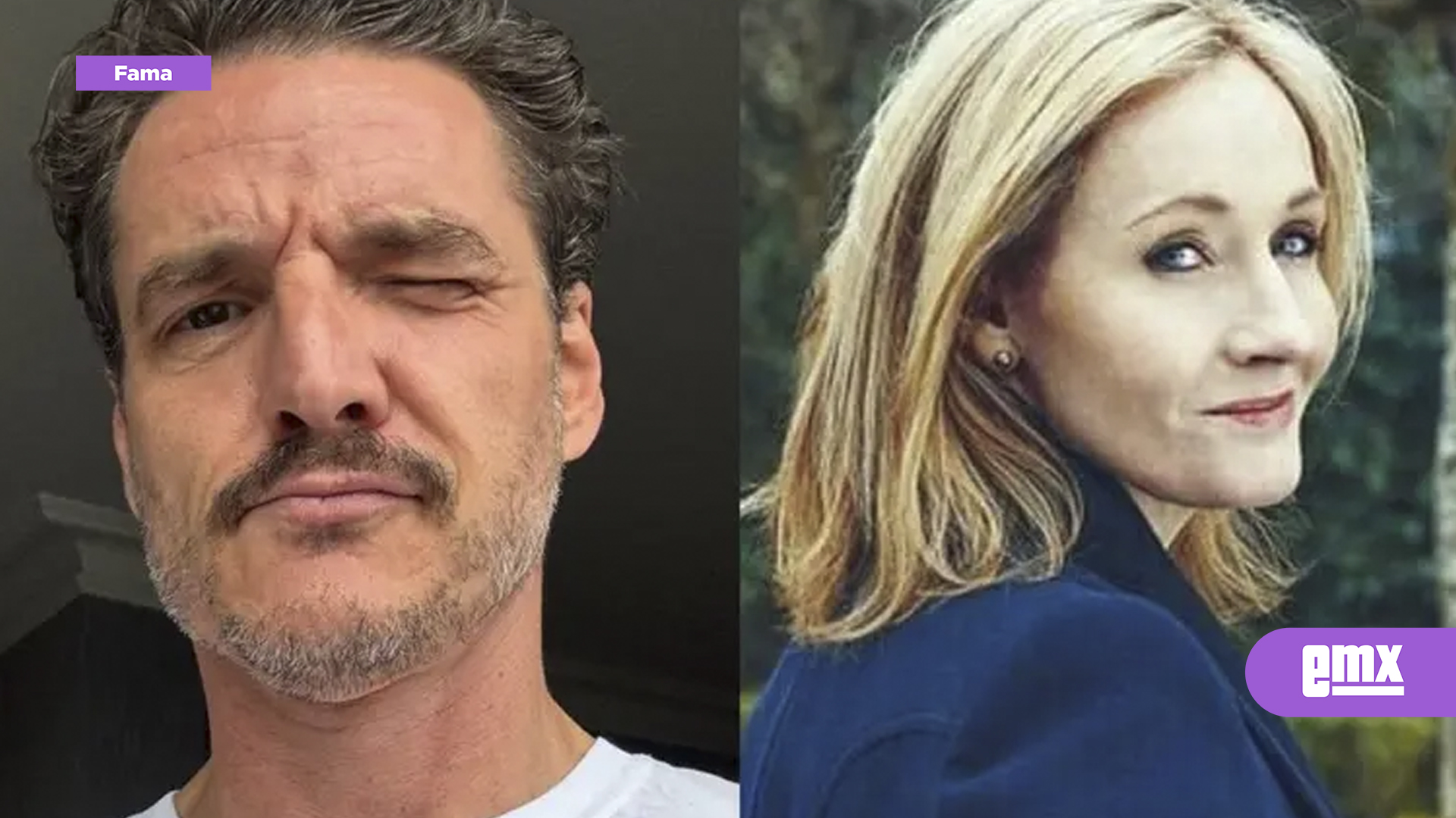 EMX-Pedro-Pascal-critica-a-J.K-Rowling-por-su-rechazo-a-las-personas-trans;-"los-bullies-me-enferman"
