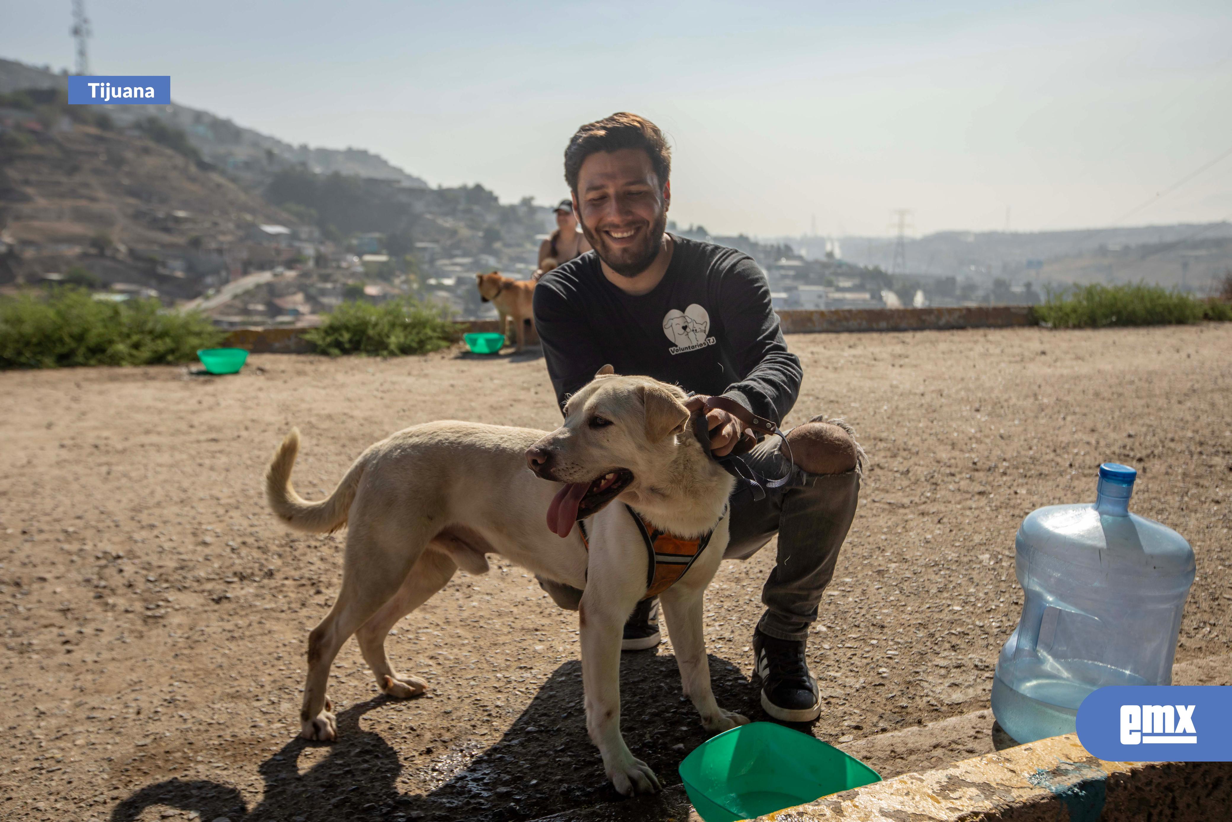 EMX-Voluntarios-ayudan-a-rehabilitar-emocionalmente-a-perros-del-refugio-municipal